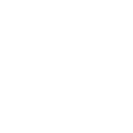 Pet Grooming Service